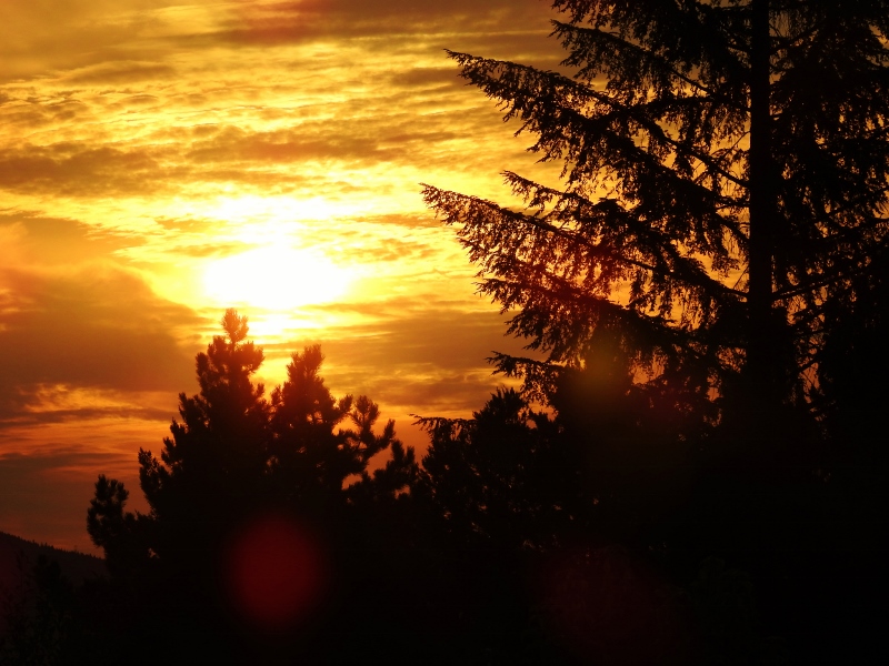 A Weekend with&nbsp;Daisy