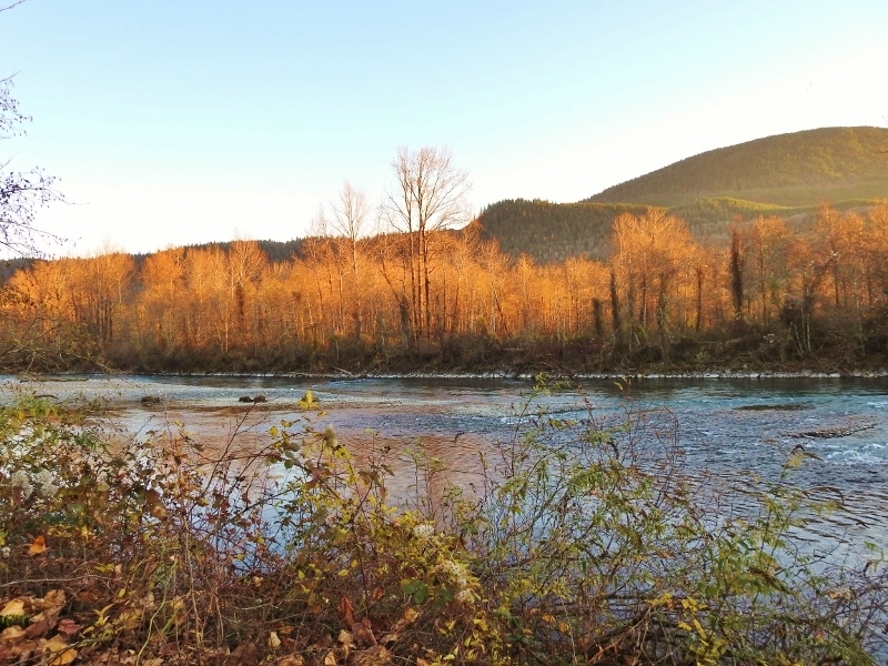 I Walked the Whole&nbsp;Trail