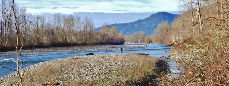 A Stroll along Vedder&nbsp;River