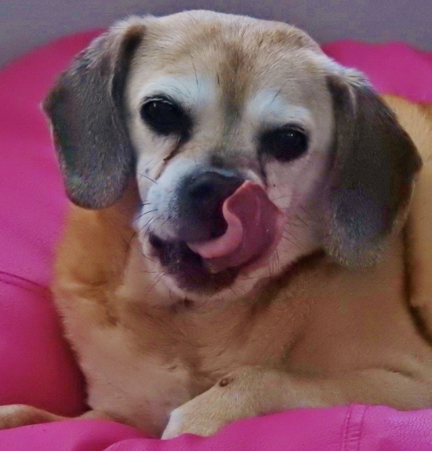 Hanging Out with&nbsp;Daisy